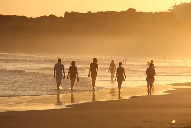 spiaggia, le persone, a piedi, in esecuzione, a piedi nudi, intrattenere, chiacchierare, tramonto, natura, portogallo, sabbia, acqua, mare, vita, onda, piacere, gli amici, insieme. Come definire il mandato con un consulente: contenuti e limiti