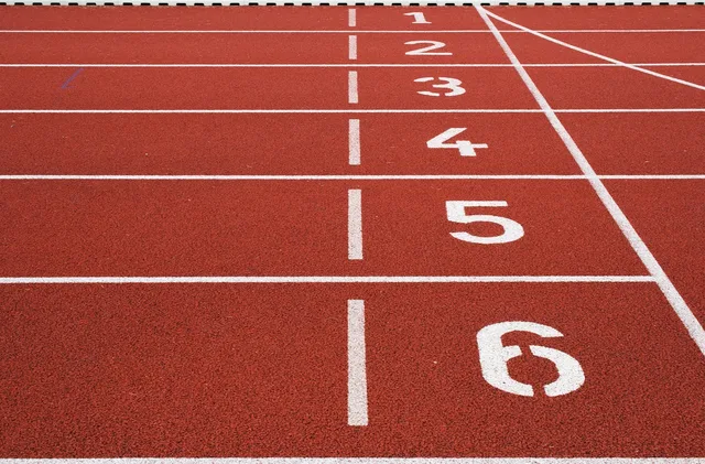 track and field, campo di atletica, terreno, corridoio, linee, numeri, stadio in esecuzione, campo sportivo, cominciare, traccia, in esecuzione, linee, numeri, numeri, numeri, numeri, numeri. Referenze e qualifiche di un consulente: come verificarle